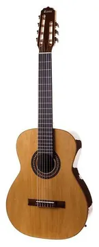 Rozini RX207ATN 7 Cordas Nylon
