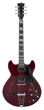 Michael Guitarra GM730N GD