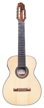 Rozini Eletrico Ativo Premium 7 Cordas Com Bag Fishman RX720.FPP.N.LP