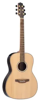 Takamine GY93E N & TK40D