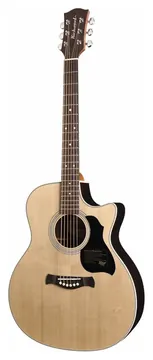 Richwood Master Series G-60-CE handmade grand auditorium guitar