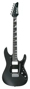 Ibanez BER10 Signature Bernth Black