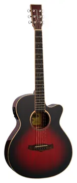 Tanglewood Winterleaf 4 CE AVB
