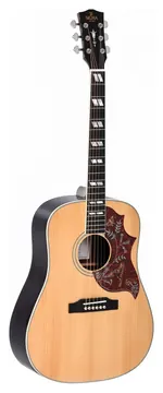 Sigma Guitars SDR-SG5