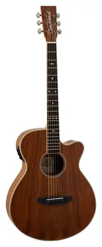 Tanglewood Reunion Pro 4 CE AW