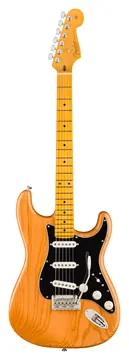 Fender Stratocaster American Professional, MN Natur