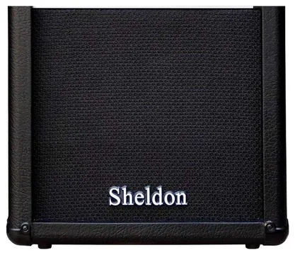 Sheldon Cubo Amplificador para Contrabaixo BSS500 da marca Sheldon com 50W RMS