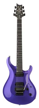 PRS Tekton Floyd Purple Royale
