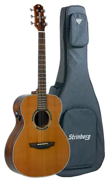 Strinberg DM1 NS Natural Satin Diamond Series Orchestral Folk Aço C/ Bag
