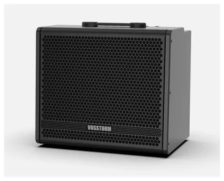 Vosstorm Cubo Guitarra Vosstorm Gx-12 100w Falante 12" (3176)