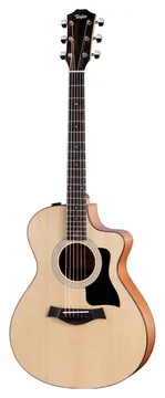 Taylor 112CE-S Westerngitaar met Element inclusief Gigbag