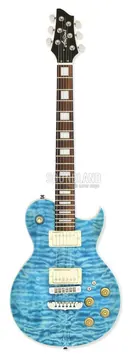 Aria Pro-II PE-480 SEBL