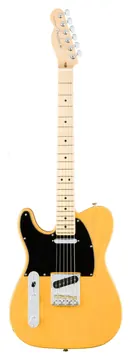 Fender Professional Telecaster Left Hand Butterscotch Chitarra Mancina