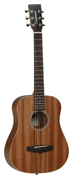 Tanglewood TW2 T
