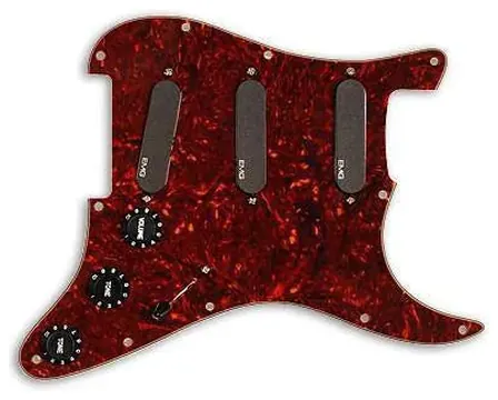 EMG Vg20 - Vince Gill