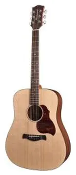 Richwood Master Series D20 Handmade Dreadnought Guitar D-20