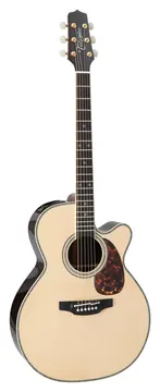 Takamine Nex Cutaway Electro RNV460C