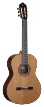 Raimundo R-500