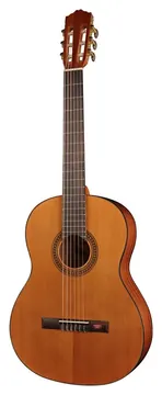 Salvador Cortez CC10 klassieke gitaar