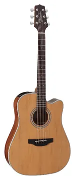 Takamine GD20CE-NAT