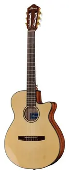 Ibanez AEG50N-NT Nylon
