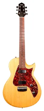 Taylor SB-X4 Com Case (Showroom)