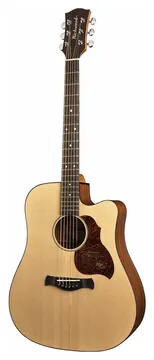 Richwood Master Series D-20-CE handmade dreadnought guitar