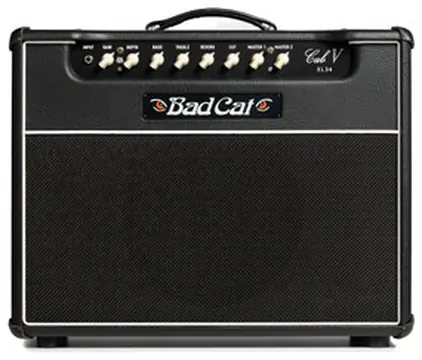 Bad Cat Cub V EL34 40w Combo 1x12