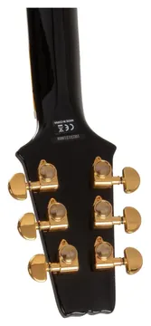 Aria Pro II PE-350PF Aged Black