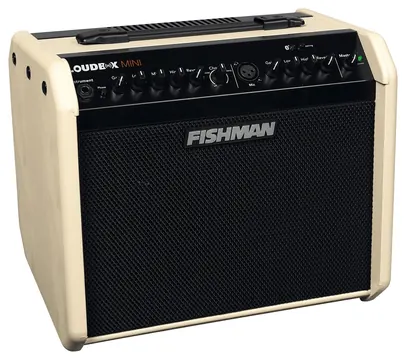 Fishman PRO-LBT-500-CR Loudbox Mini BT 60W/6,5Zoll Akustikverstärker