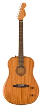 Fender Highway Dreadnought Rw All Mahogany