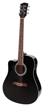 Richwood Artist Series RD-12LCEBK lefthanded acoustic guitar