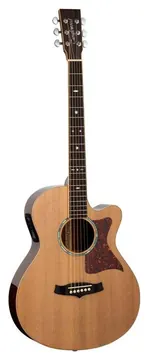 Tanglewood TW45RE