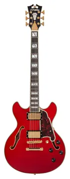 D'Angelico Excel Mini DC Kirsche transparent