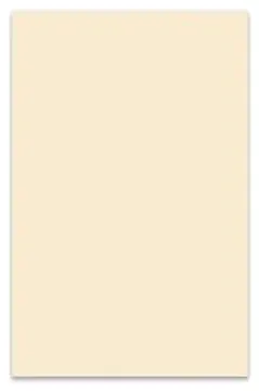 Boston Pickguard Sheet - Vintage White - 3 Ply - 45x29cm