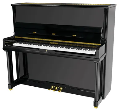 Pleyel P131BLK Akoestische Piano