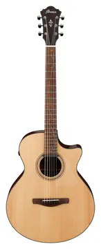 Ibanez AE275BT-LGS Bariton