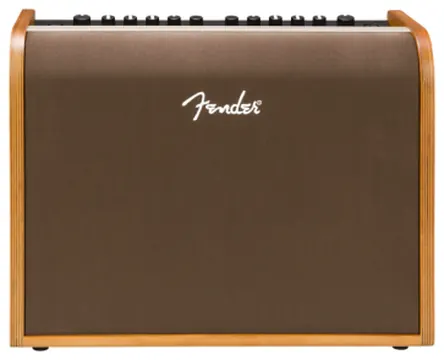 Fender Acoustic 100