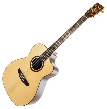Rozini BAG FISHMAN PRESYS+ PREMIUM FLAT RX620.AT.N.CT.LP (De R$4.100 Por R$2.870)