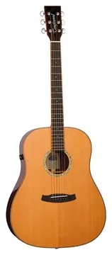 Tanglewood Rosewood Smart - TRS5SE