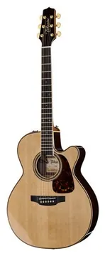Takamine P7NC w/Softcase
