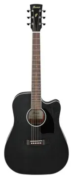 Ibanez PF16MWCE-WK