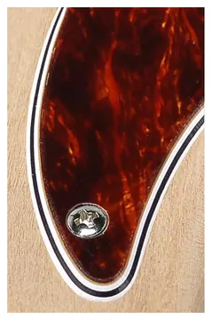 Boston JB-410-T pickguard