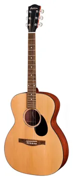 Eastman PCH1-OM
