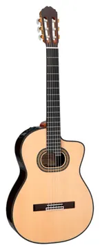 Takamine Classica Ctw Elet Pro Series