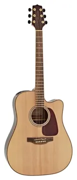 Takamine GD93CE & TK-40D Natural