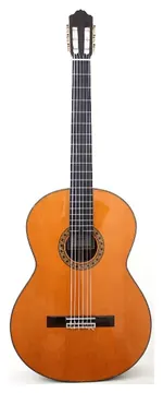 Esteve Quintbass Cedar Top Guitar