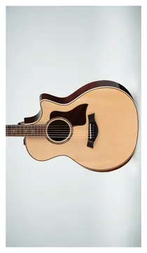 Taylor 314CE Next Generation Left Handed