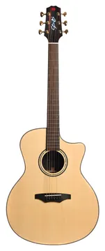 Seizi Supreme All Solid Ryu Cutaway
