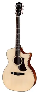 Eastman AC322CE - Auditorium